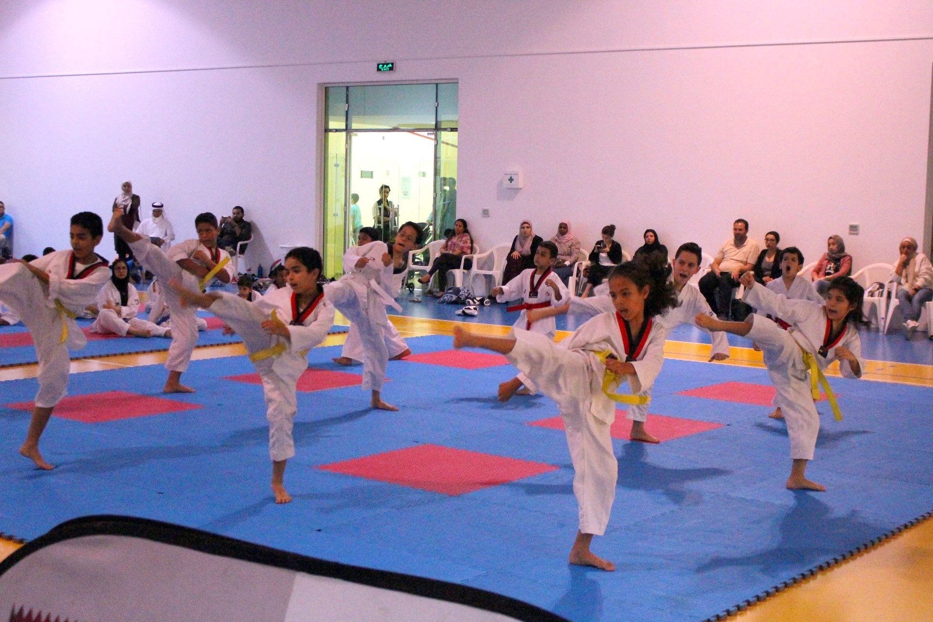 SFQ Taekwondo