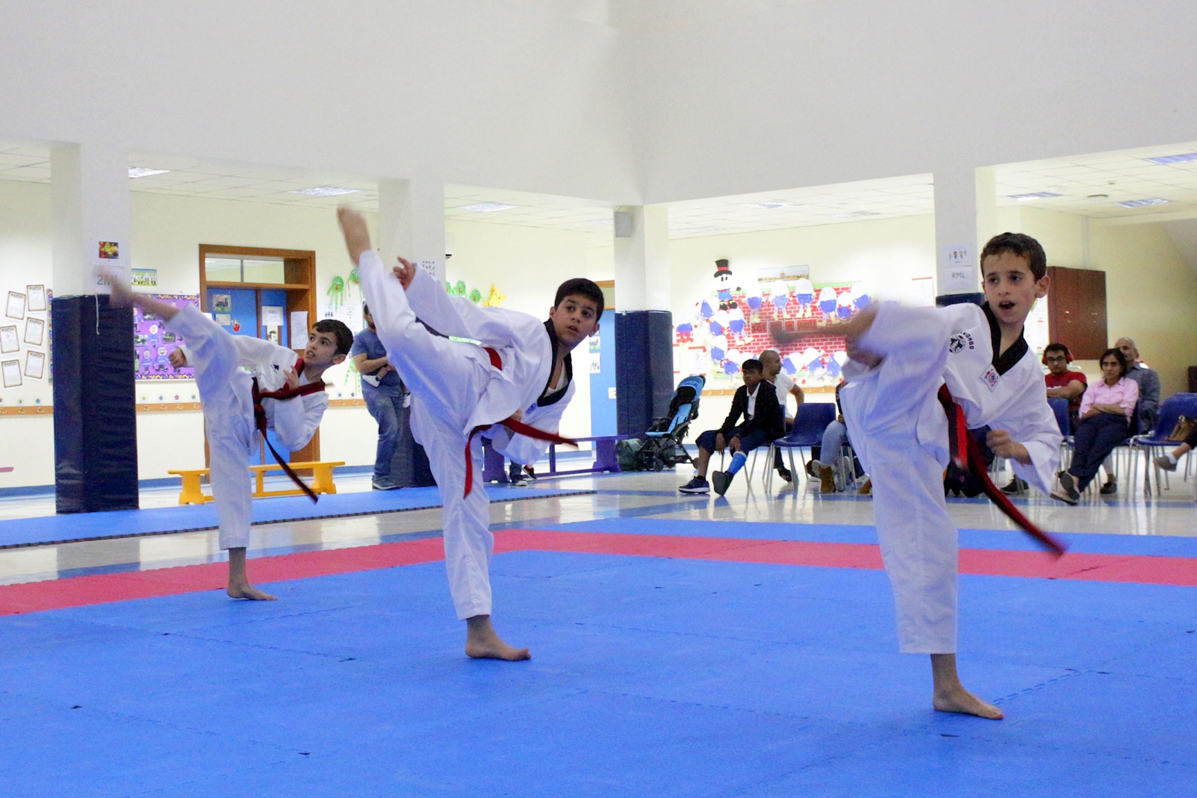 SFQ Taekwondo